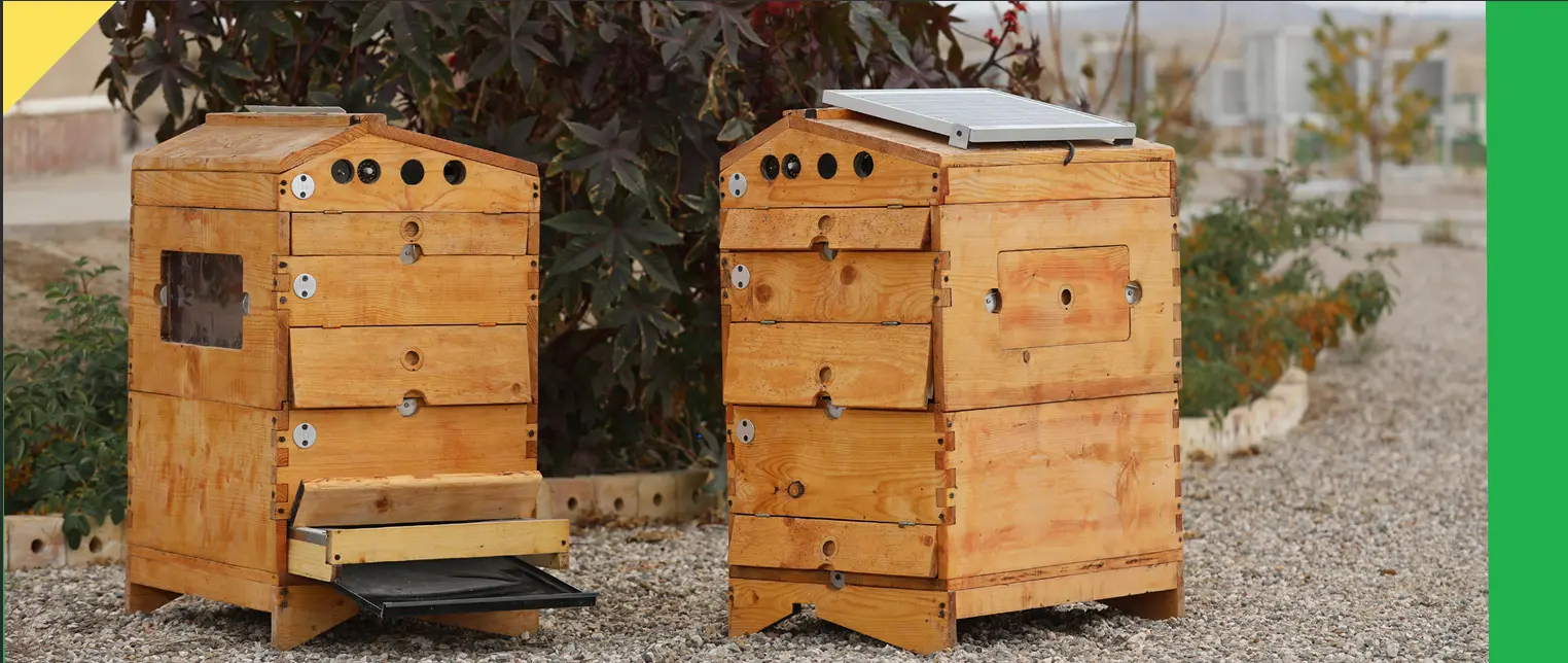 Modern Beekeeping System